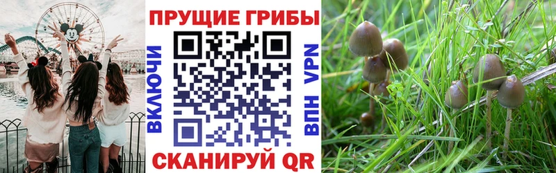 Галлюциногенные грибы прущие грибы МЕГА онион Исилькуль купить наркотики сайты